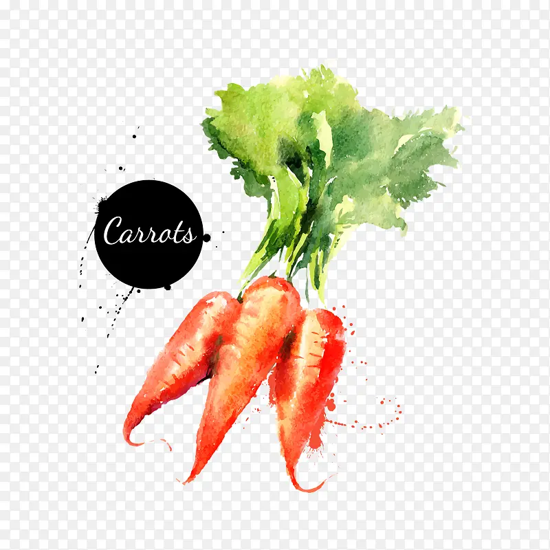 卡通水彩蔬菜红萝卜