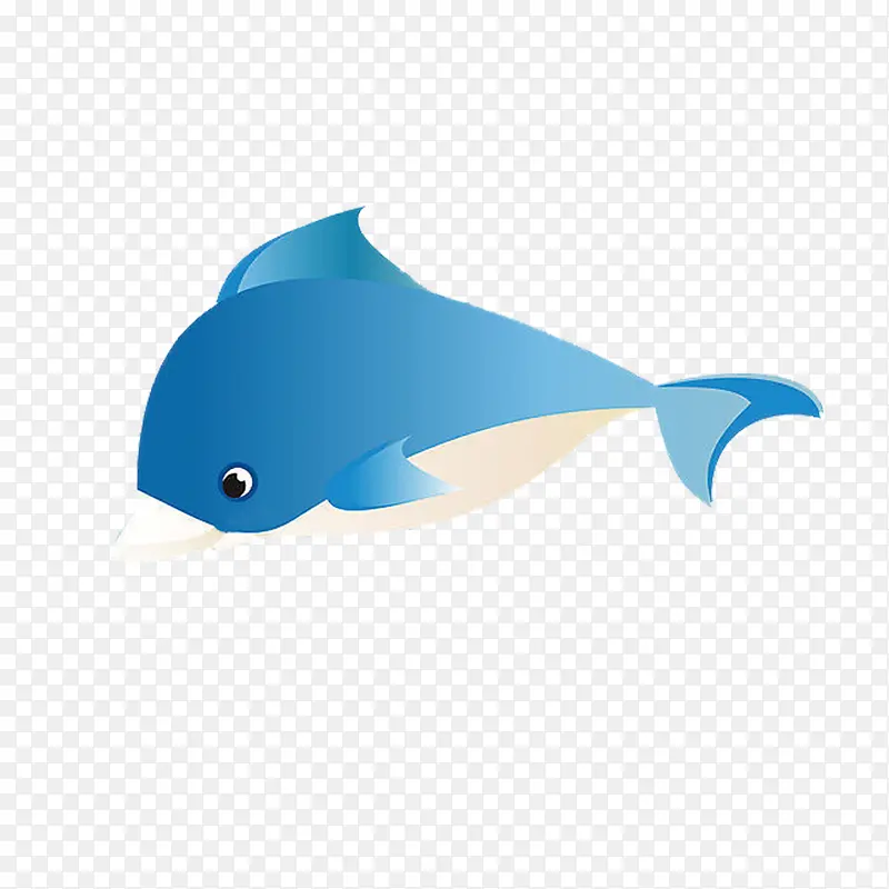 海豚