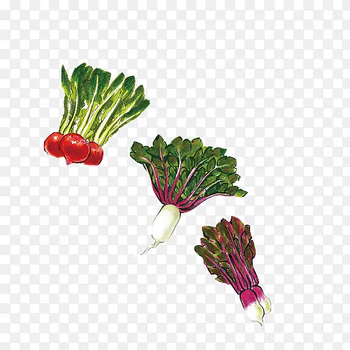 蔬菜合集手绘画素材图片