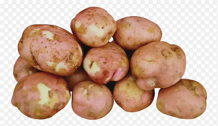 新鲜好吃的土豆