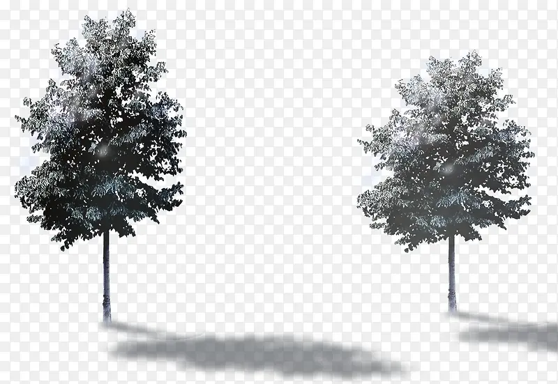 创意摄影合成画外的树木环境渲染