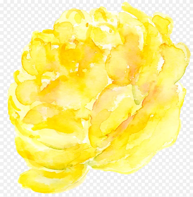 黄色牡丹花手绘