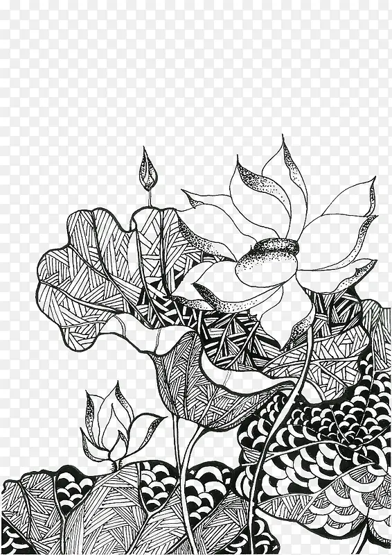 荷花简笔画