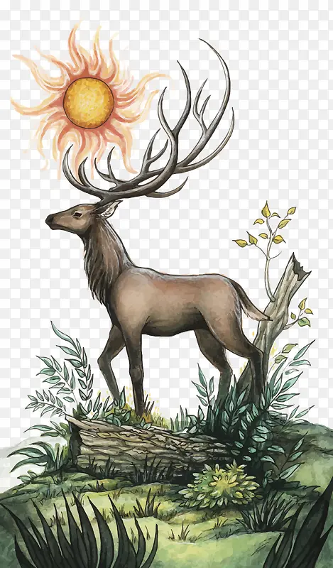 矢量鹿和太阳