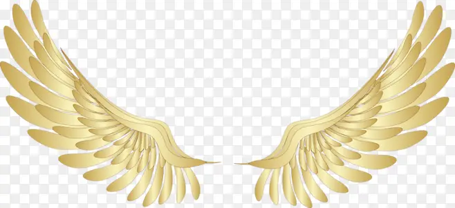 一对金色天使翅膀图
