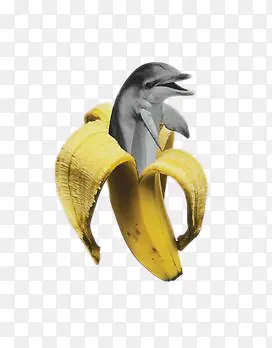 香蕉中钻出来的海豚