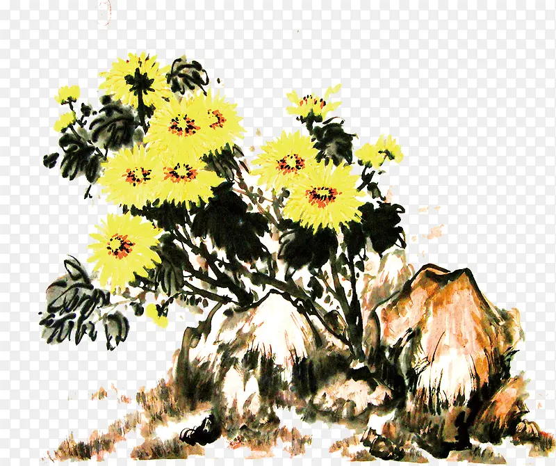 菊花国画