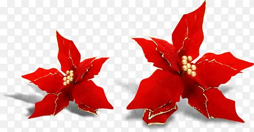 红色热情花朵装饰