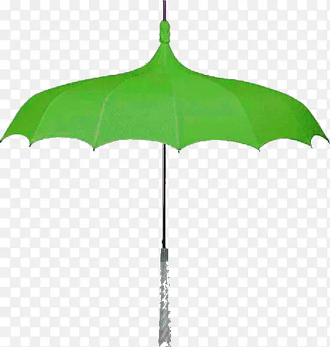 尖头绿伞