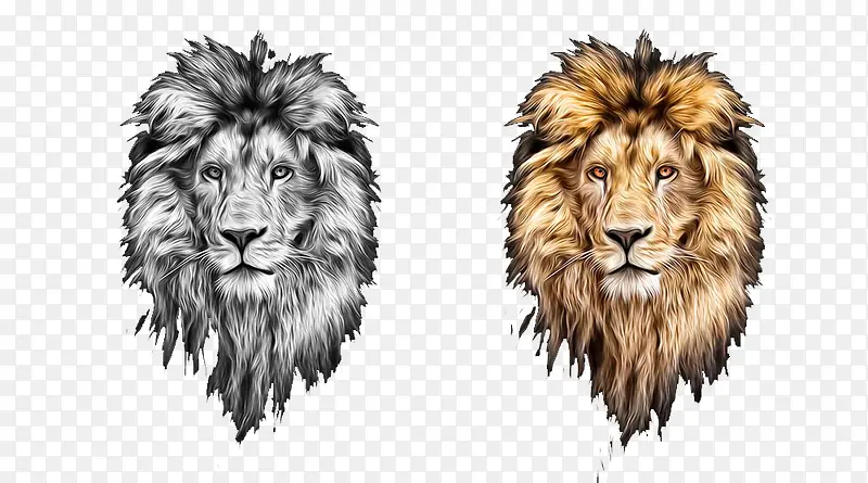 两个手绘狮子头