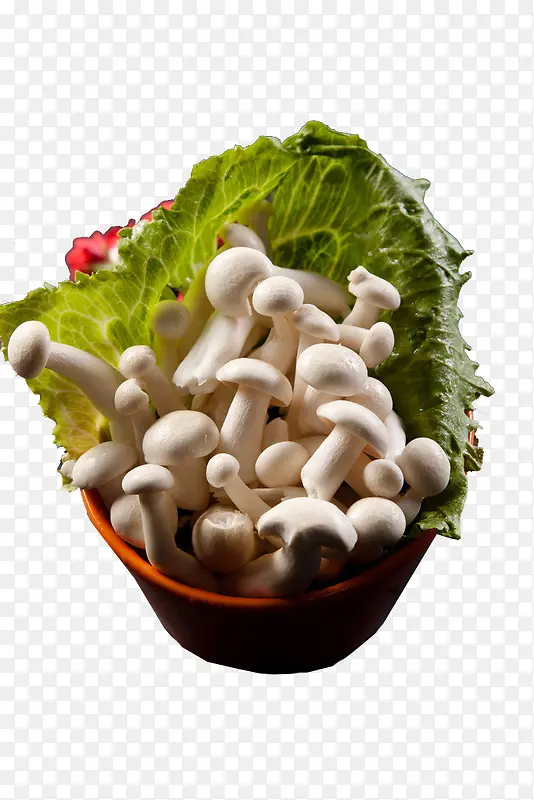 菌菇盘