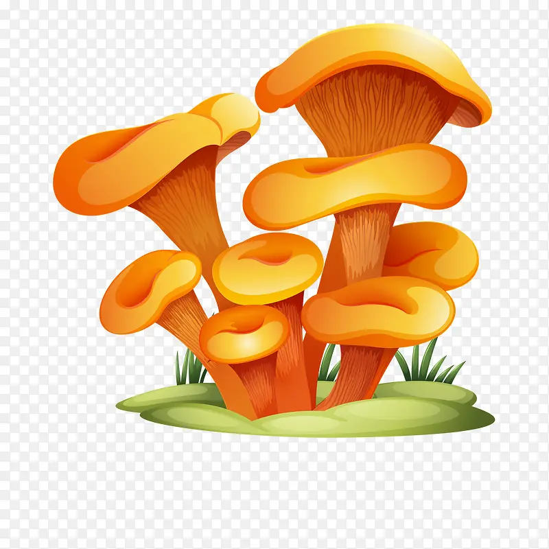 卡通橙色的菌菇植物设计