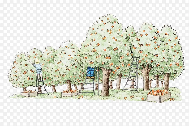 彩绘手绘果园水果园图案