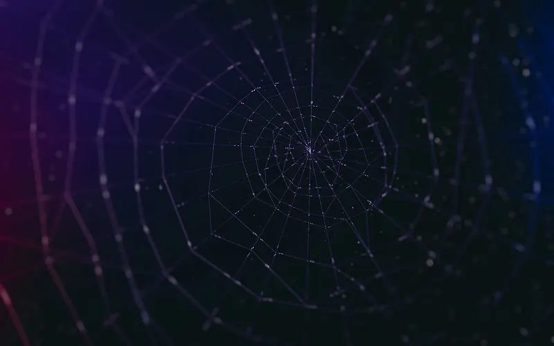 蜘蛛网黑色背景素材
