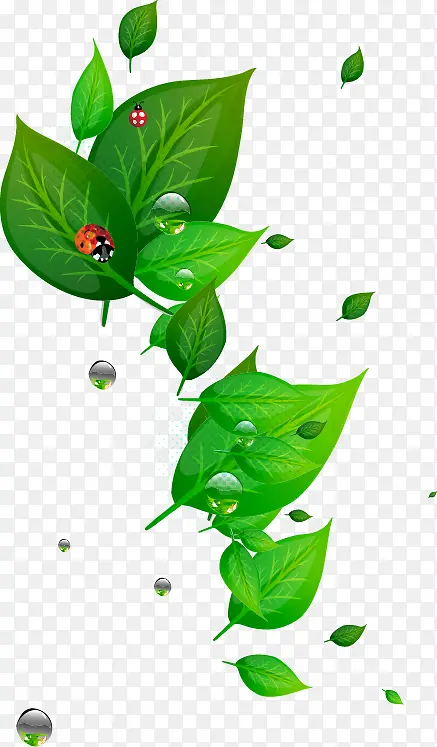 绿色叶子瓢虫