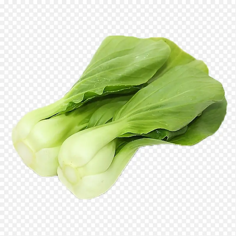 新鲜小油菜