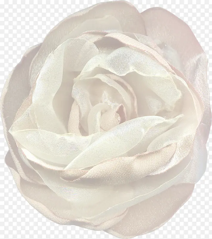 花朵