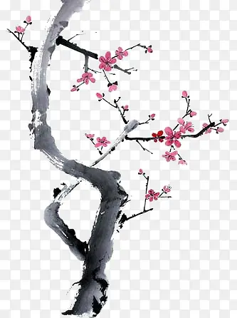 梅花
