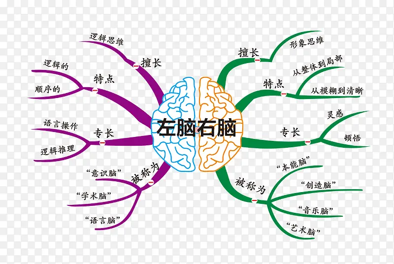 左右脑思维导图