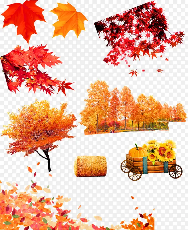 秋天黄色枫叶枫树装饰图案