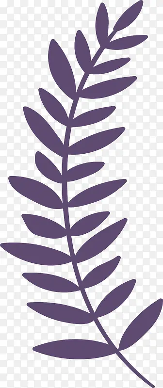 紫色简约植物
