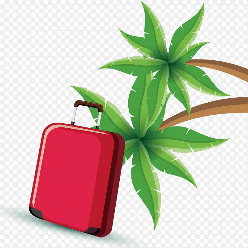 椰子树和行李