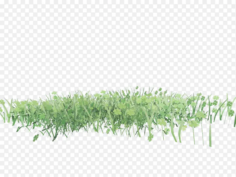 绿色漂亮草丛