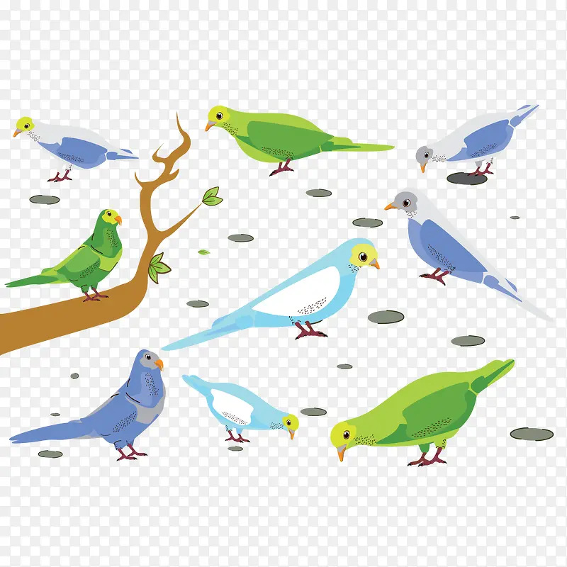 矢量图各种鸟类的图