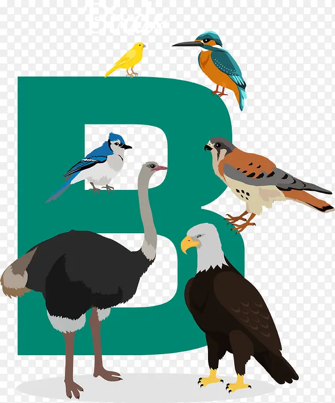 卡通各种鸟类B字母矢量图