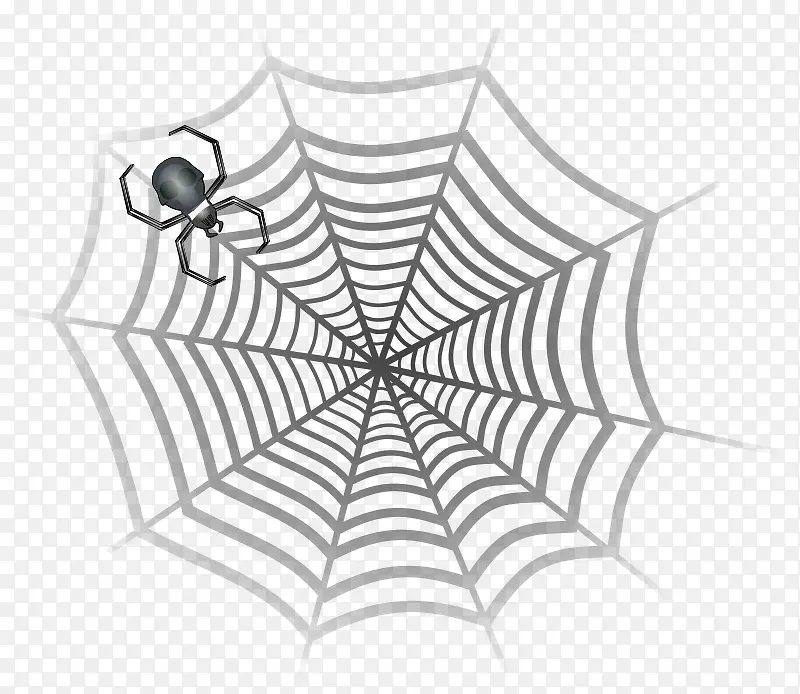 灰色的蜘蛛网和蜘蛛