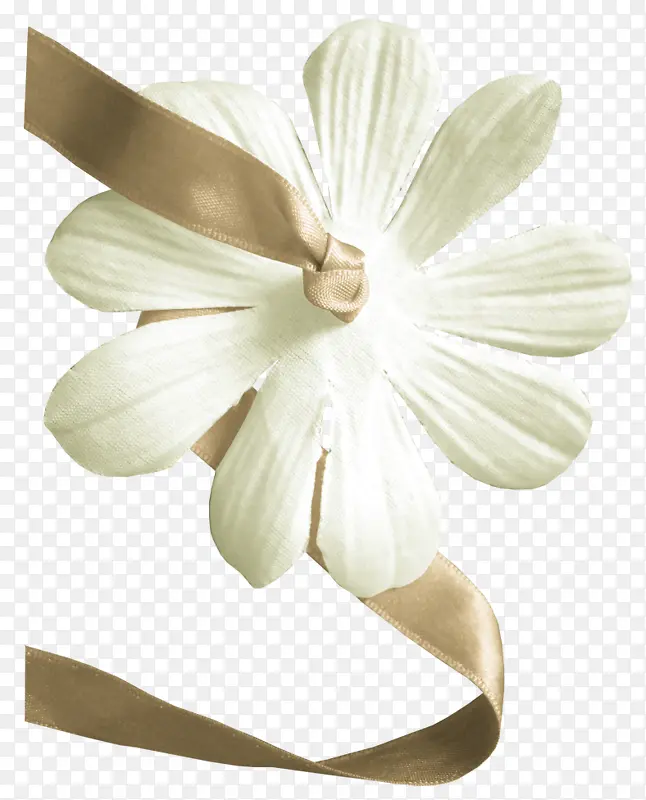 丝带白色花瓣