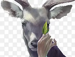 小鹿