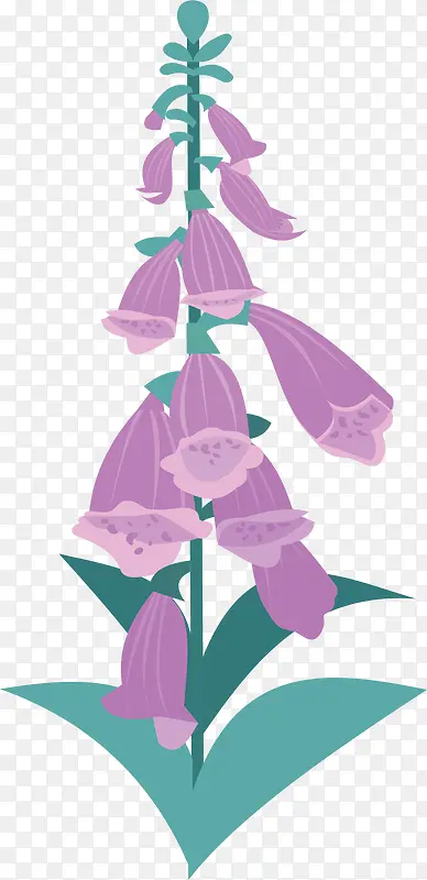 紫色美丽春天串花