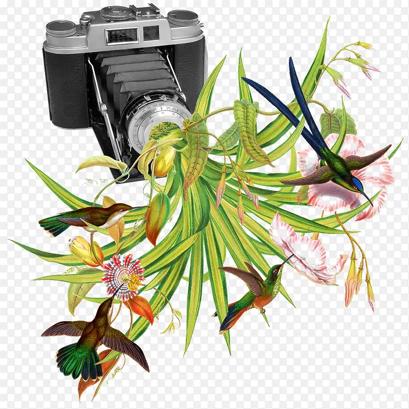 相机花卉创意图案
