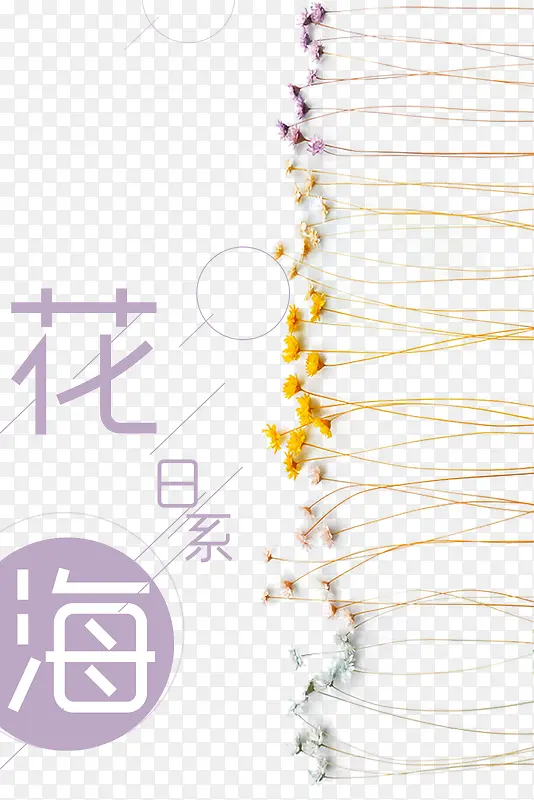 日系花海