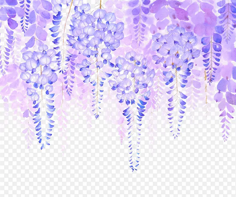紫藤花丛图片素材