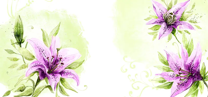 紫色盛开鲜花插画背景