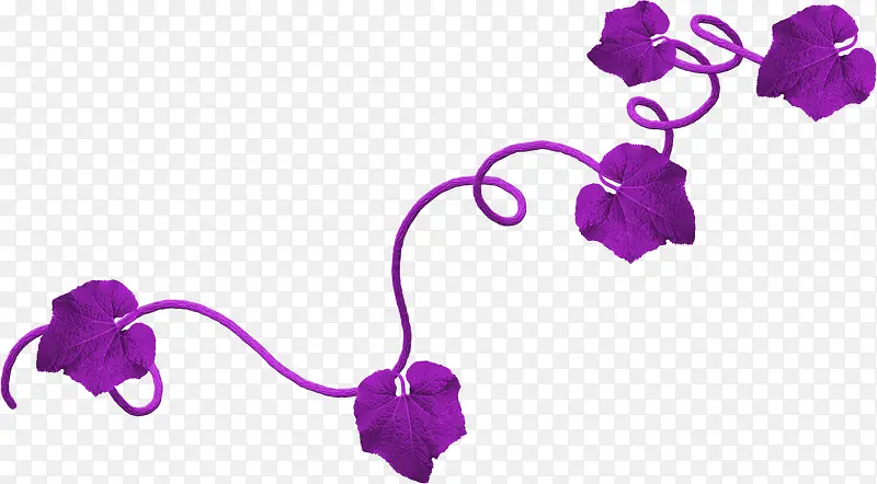 紫色枝叶