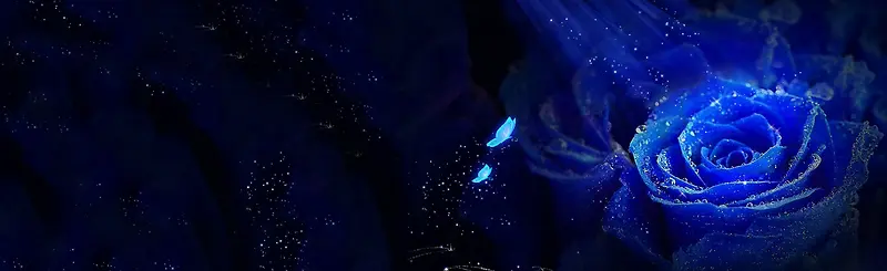 蓝色玫瑰梦幻星光背景banner