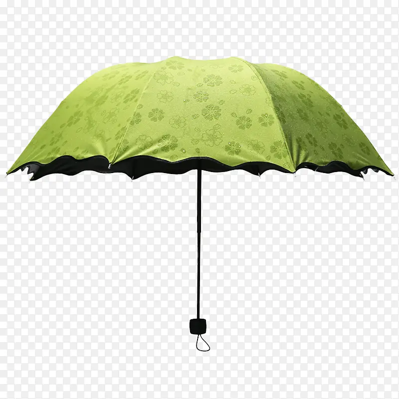绿色花伞洋伞遮阳伞
