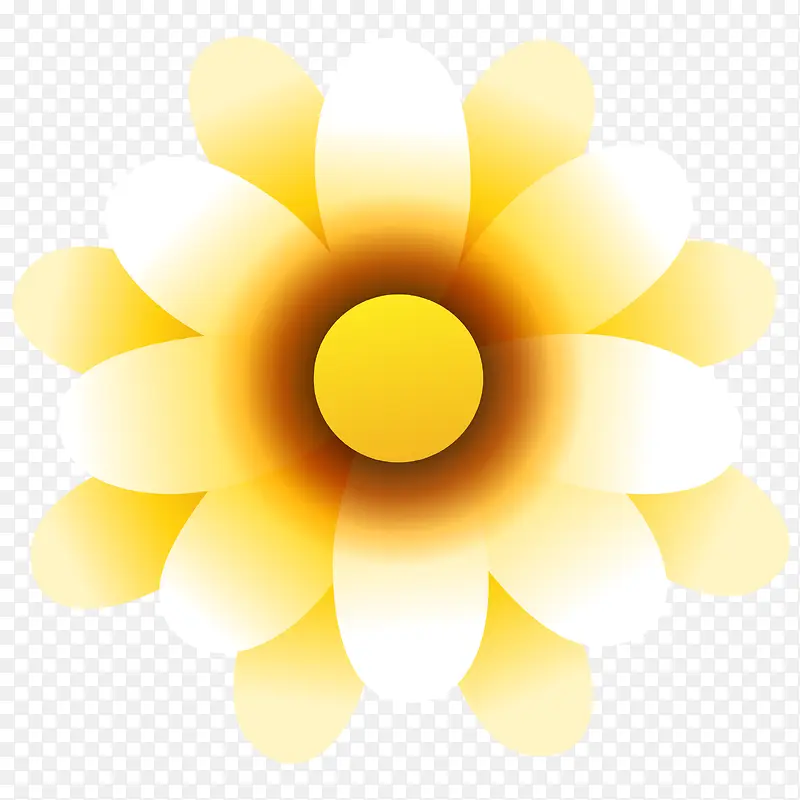 黄色上的太阳花素材