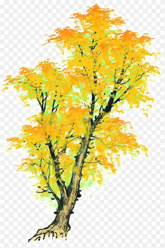 秋季枫叶树手绘