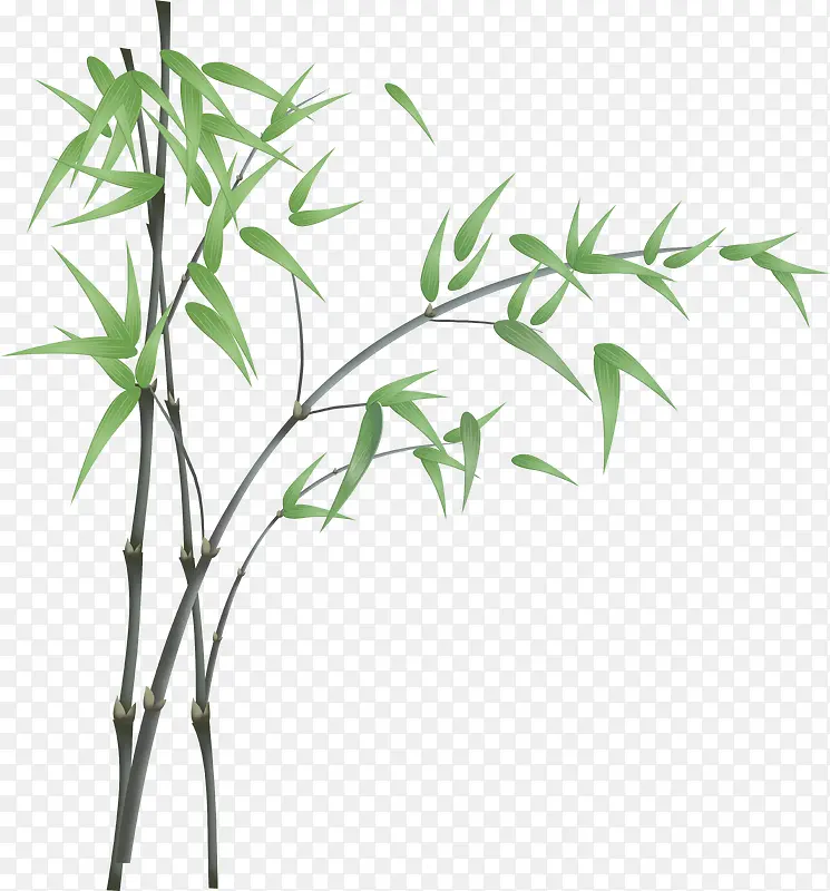 绿色竹子创意设计梦幻