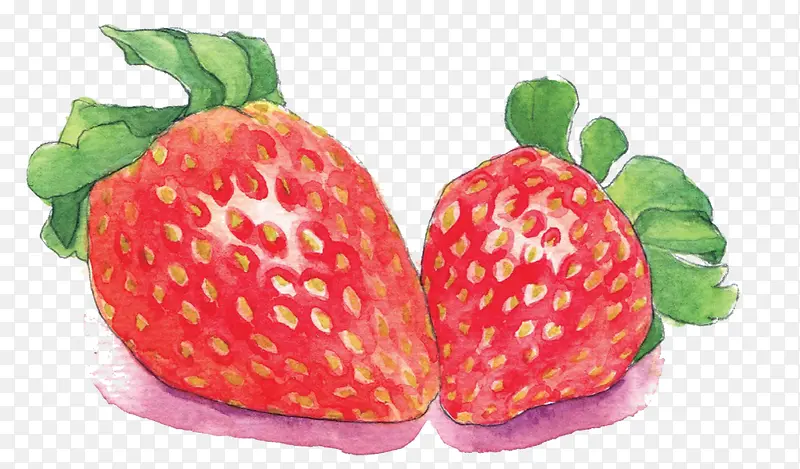 食欲草莓图片素材
