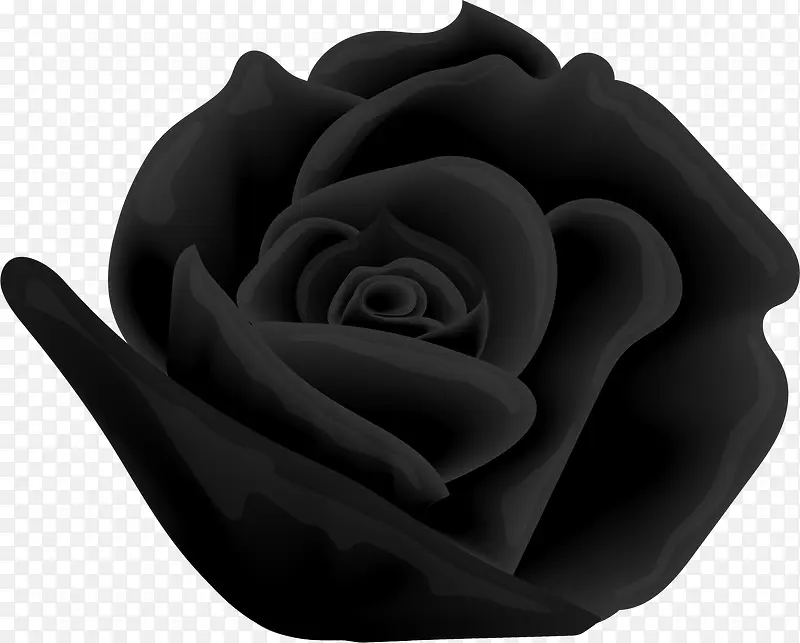 矢量手绘黑色玫瑰