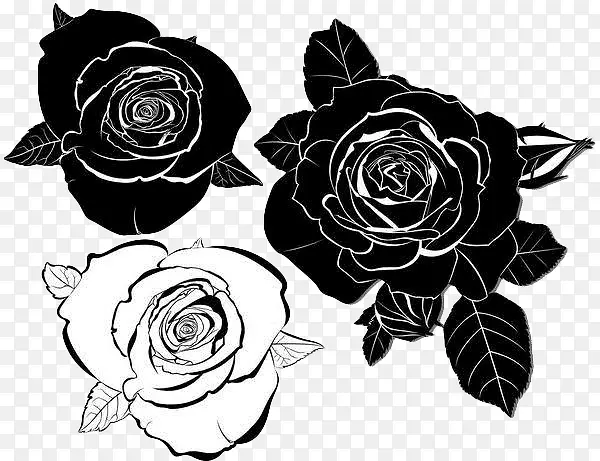 黑色手绘玫瑰花