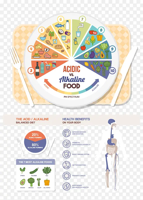 矢量饮食规划信息图