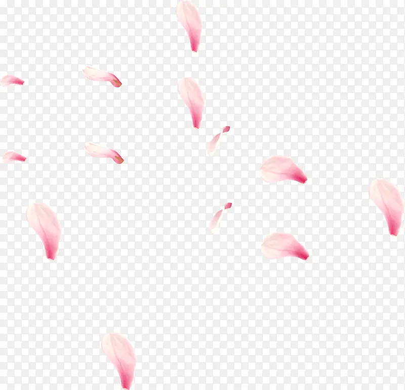 花瓣 漂浮