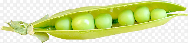 绿色蚕豆