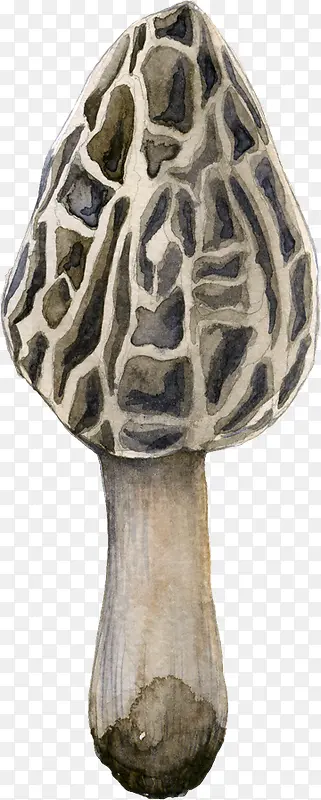 手绘菌类